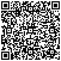 qrcode-plau